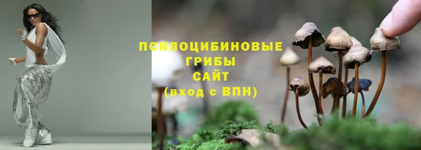 прущая мука Армянск