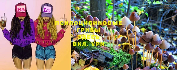 прущая мука Армянск